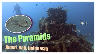 Diving: The Pyramids