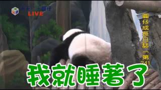 每日一圓仔--蘋果日報20150718