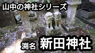 【徳島県 新田神社】仲良し狛犬【美馬市 穴吹町】