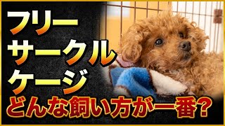 ケージ・サークル・フリーどの飼い方が一番？