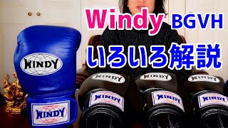 Windyのボクシンググローブ サイズ別の着用感 用途別のお勧め BGVH