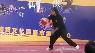 2017 第三屆 香港文化節 香港龍獅武術文化匯演 4 客家洪拳