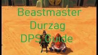 Runescape 3 Beastmaster Durzag DPS Guide