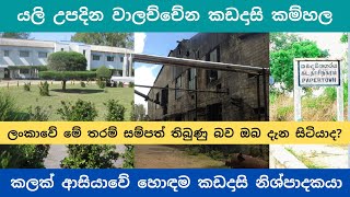 යලි උපදින වාලච්චේන කඩදාසි කම්හල | කලක් ආසියාවේ හොඳම කඩදාසි නිශ්පාදකයා | Valaichchenai paper factory