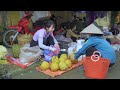 daily life woman harvesting cu lac tuber in forest u0026 go to market sell lý thị ca