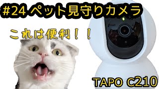 #24 【コスパ最高！】外出時の救世主 ペット見守りカメラの性能　Tapo c210