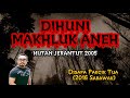 Misteri Hutan Jerantut (2005 Pahang), Kedatangan Pakcik Tua (2016 Sarawak)