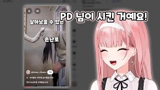 현실 망내 머리끄덩이 잡는 허츄ㄷㄷ