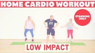 Low impact, all standing CARDIO workout. Beginner Friendly.