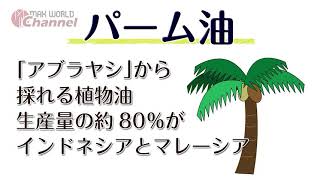 第16回マックスワールドチャンネル【パーム油部分のみ】