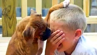When a Boy Visits An Animal Shelter to Adopt a Dog, He Starts Crying. What Happens Next is Amazing!