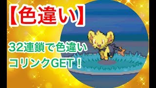 【ポケトレ】32連鎖で光る草むら出現！色違いコリンクGET！（shiny）