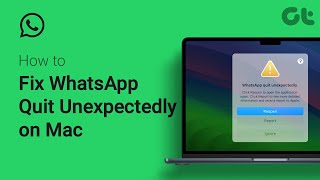 How to Fix WhatsApp Quit Unexpectedly on Mac | WhatsApp Constantly Crashing on Mac? | Quick Fixes