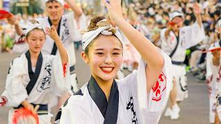 Japan's Traditional Dance Festival Awa Odori | 2024 Awaodori in Tokushima