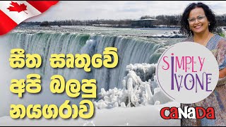 සීත සෘතුවේ අපි බලපු නයගරාව We Saw Niagara in the Winter