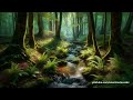 Relaxing River Sounds for Study and Sleep