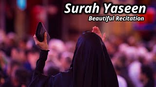 Surah Yaseen | Yasin | Ya-seen | Beautiful recitation with Subtitles | Quran-e-Majeed