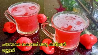 Chambakka Juice Recipe  / ചാമ്പക്ക കൊണ്ട് ഒരു ഹെൽത്തി ജ്യൂസ്‌ / Rose Apple Juice