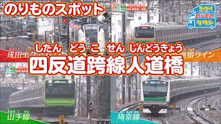 【のりものスポット】四反道跨線人道橋（湘南新宿ライン、埼京線、山手線）