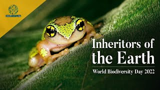 BUILDING A SUSTAINABLE FUTURE | ലോക ജൈവവൈവിദ്ധ്യ ദിനം | INTERNATIONAL DAY FOR BIODIVERSITY 2022