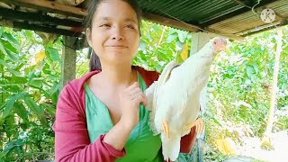 Self-sufficient lunch in the Philippines, Tinola chicken. ❤️vlog #04 フィリピンで自給自足のお昼ご飯ティノーラチキン。日本語字幕CC