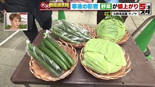 加工食品が値上がりする中で野菜まで【価格調査】 (2023年2月1日)