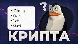 Эти знания принесли 5000$ за месяц - полный гайд по крипте 1/4