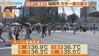 福岡市で３６．９℃　今年一番の暑さに