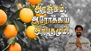 Benefits Of Oranges |🍊| ஆரோக்கியத்தின் அதிசயம்!