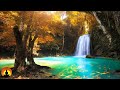 🔴 Relaxing Music 24 7 Meditation Sleep Music Yoga Spa Calm Music Relaxing Music Study Music