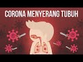 Bagaimana Virus Corona Menyerang Organ Tubuh Kita?