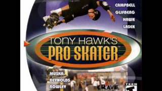 Tony Hawk's Pro Skater - \