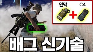 C4 + 연막을 활용한 배그 신기술?