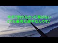 【青物】西湘サーフに行ったらクロダイ釣れた！！