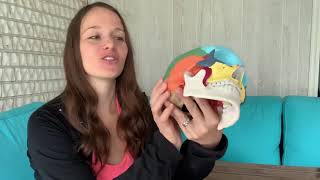 Sphenoid release for headaches/hormonal imbalance using myofascial release/craniosacral technique