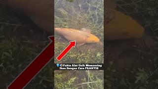 💎🔊Fakta Alat Unik Memancing Ikan Dengan Cara PRAKTIS #shortsvideo #shorts #fyp #faktaunik #short #ai