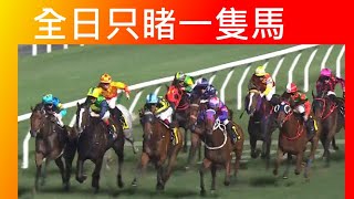 [香港賽馬貼士] 2024年11月20日 全日只睹一隻馬