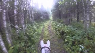 Ridetur med GoPro 16/9-2014