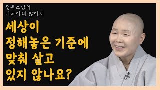 꽃이 제각각 아름다운 것처럼 사람도 저마다 그 존재 자체로 아름답다[정목스님의 나무아래 앉아서 327-3]