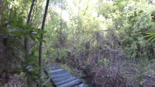 Hidden Spring in Seminole State Forest