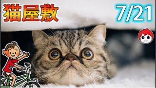 猫屋敷イベントってどうなったんだ？【ぼくなつ２リメイク版】21