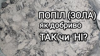 Попіл або зола  як добриво. Як використовувати, щоб не нашкодити? #добрива#попіл#екоземлеробство