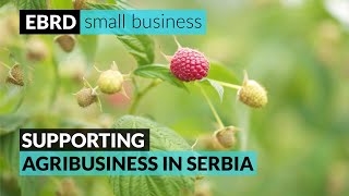 Boosting competitiveness of agribusiness in Serbia