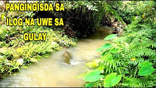 PAMIMIWAS SA ILOG NA UWE SA GULAY