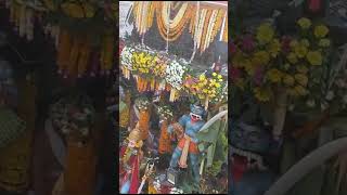 Shri Balaji Maharaj Parola श्री बालाजी महाराज पारोळा रथ (2)