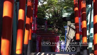 上野公園 花園稲荷神社 Ueno Park Hanazono Inari Shrine