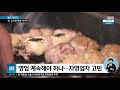 단축 영업 여파 일본 식당들 줄줄이 폐업 sbs 월드리포트