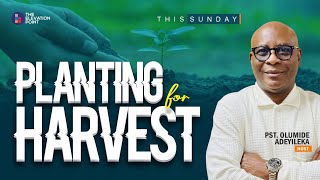 Planting for Uncommon Harvest