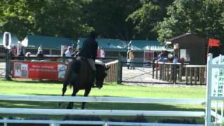 ♥ Eric Navet and Rockstar de B'neville (stallion SF)