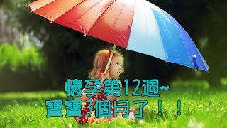 懷孕第12週~寶寶3個月了！！ 【我懷孕了】